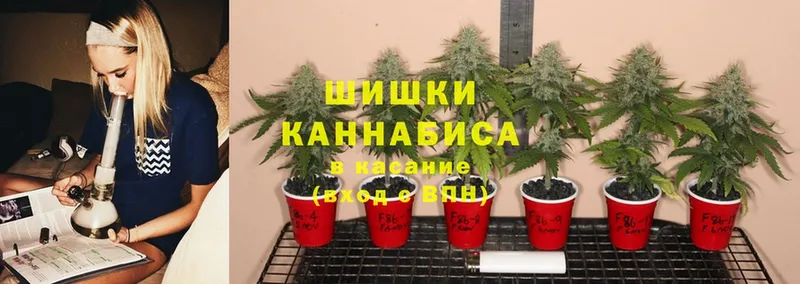 гидра ССЫЛКА  Нестеровская  Канабис OG Kush 